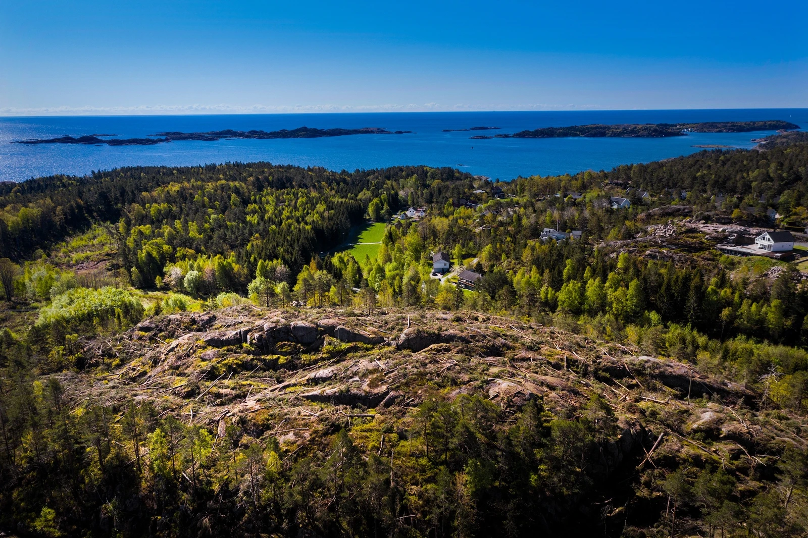 Nærområde Galleribilde