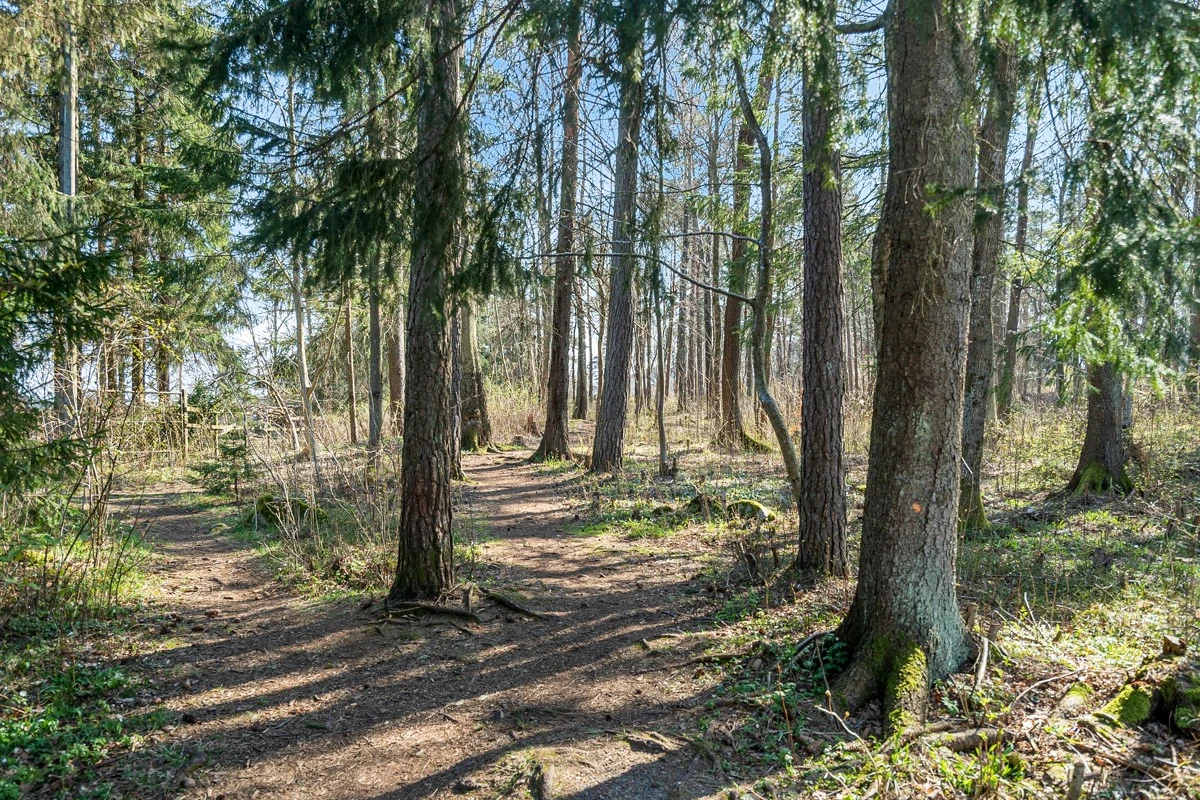 Friområde rett på utsiden av døren Galleribilde