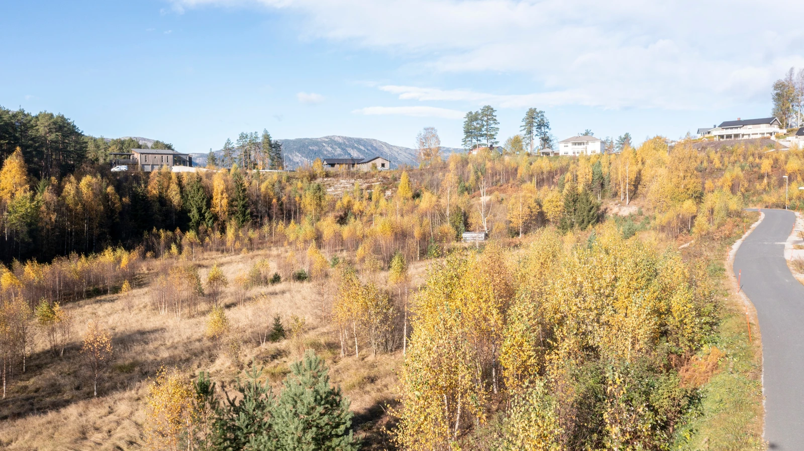 Tveitsund bustadfelt Galleribilde