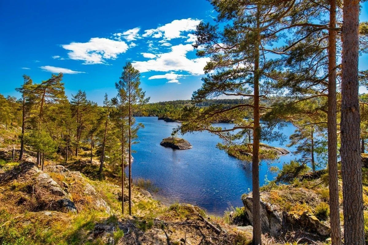 Okseliene hyttefelt ned til Skarvann Galleribilde
