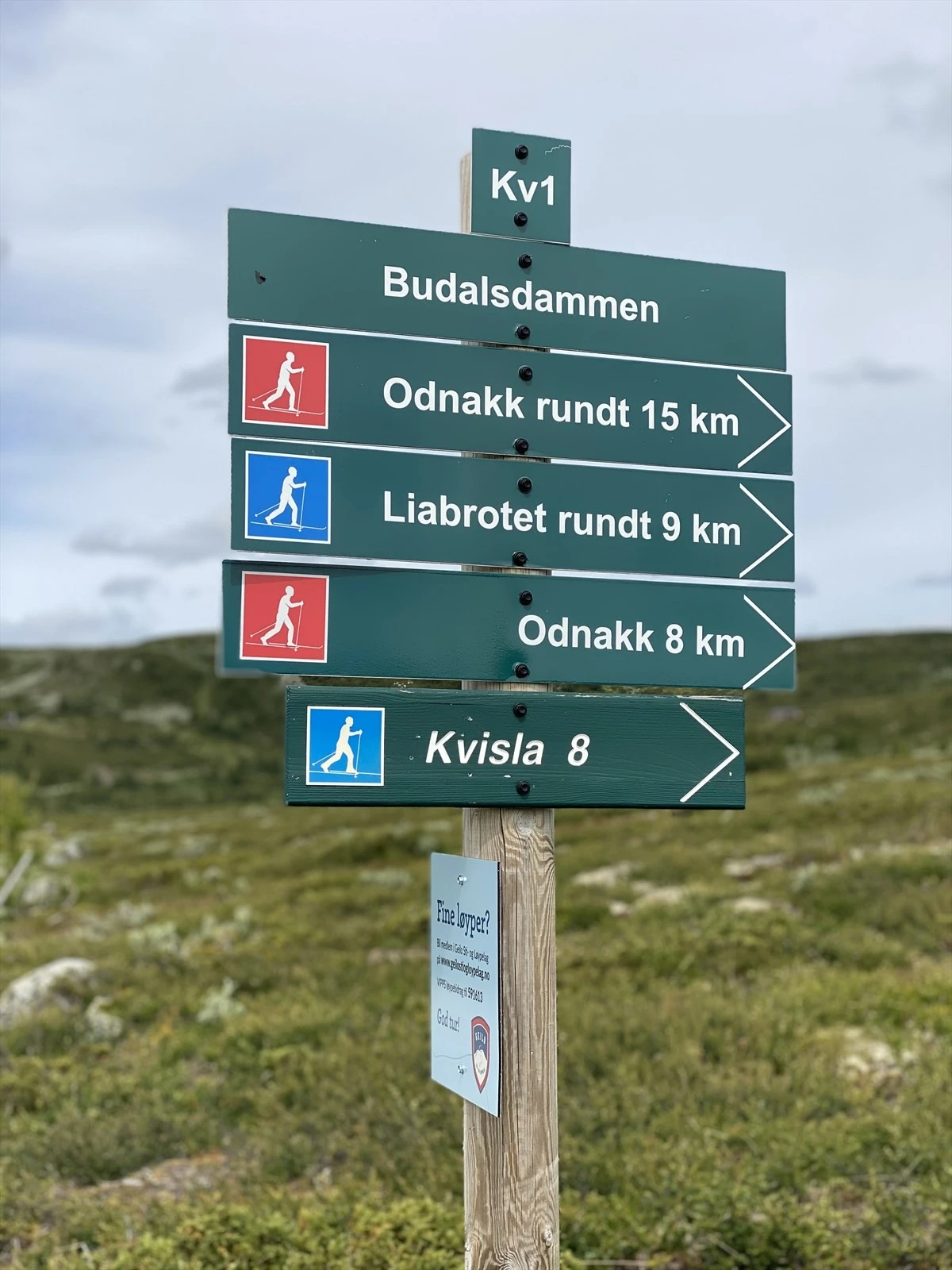 30 Flotte turmuligheter.jpg Galleribilde