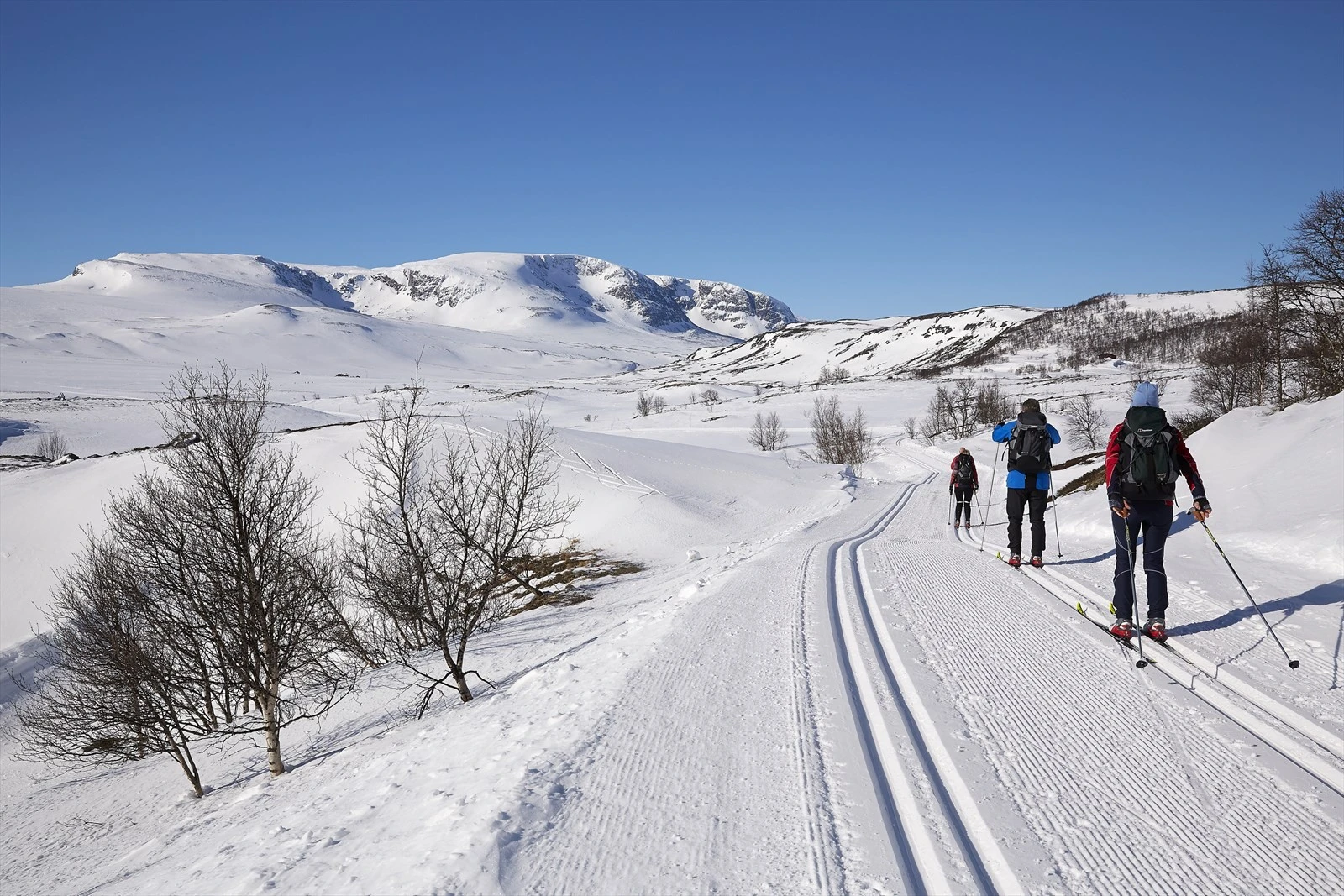 33 Bilder fra nærområdet - foto Morten Knudsen - Foto MK AS.jpg Galleribilde