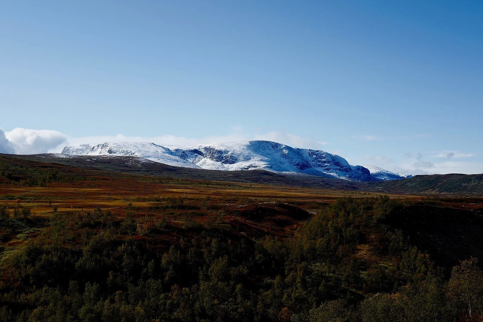 32 Budalen er vakkert uansett årstid.jpg Galleribilde