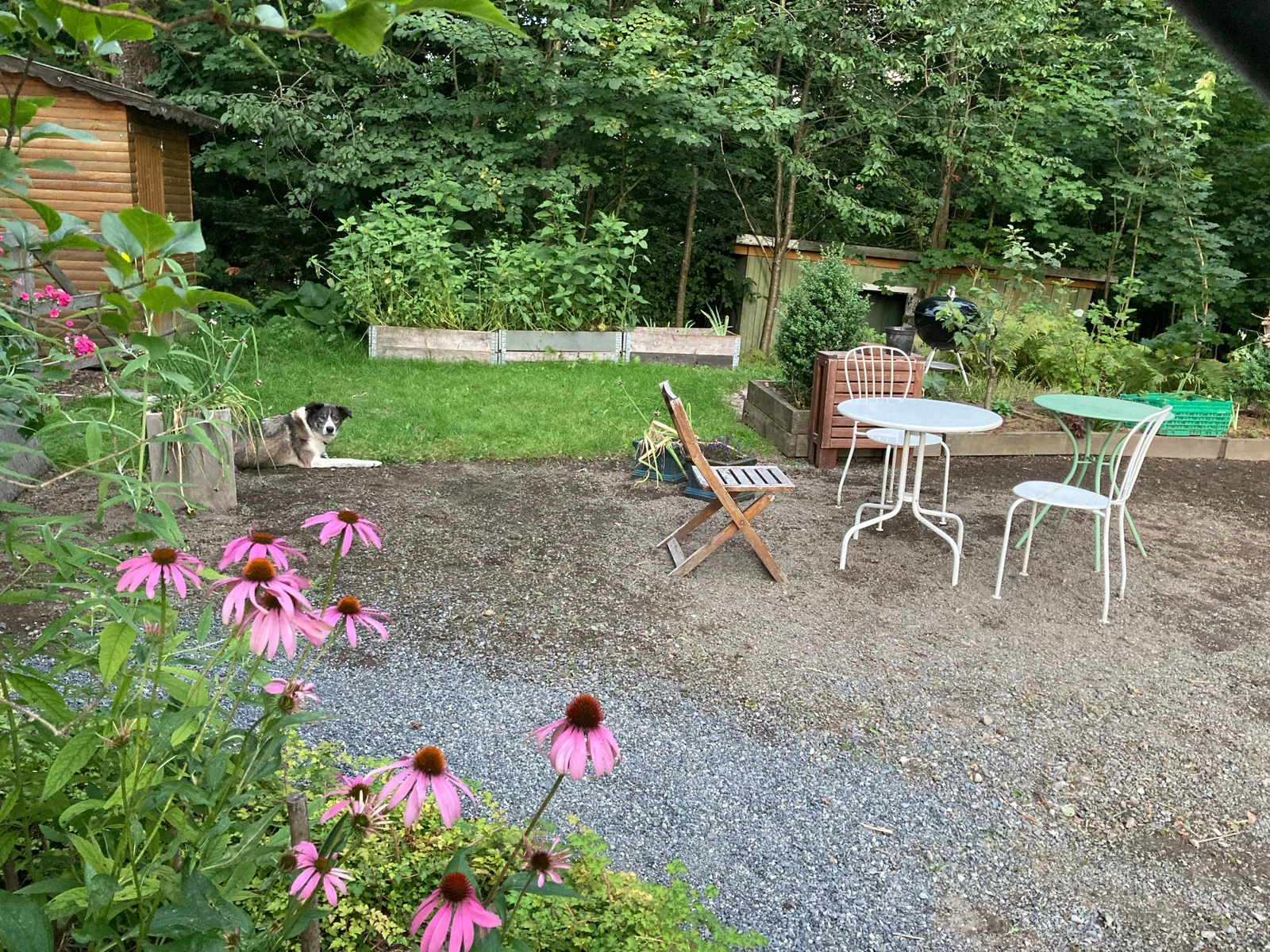 Gårdsplass med biloppstillingsplass Galleribilde