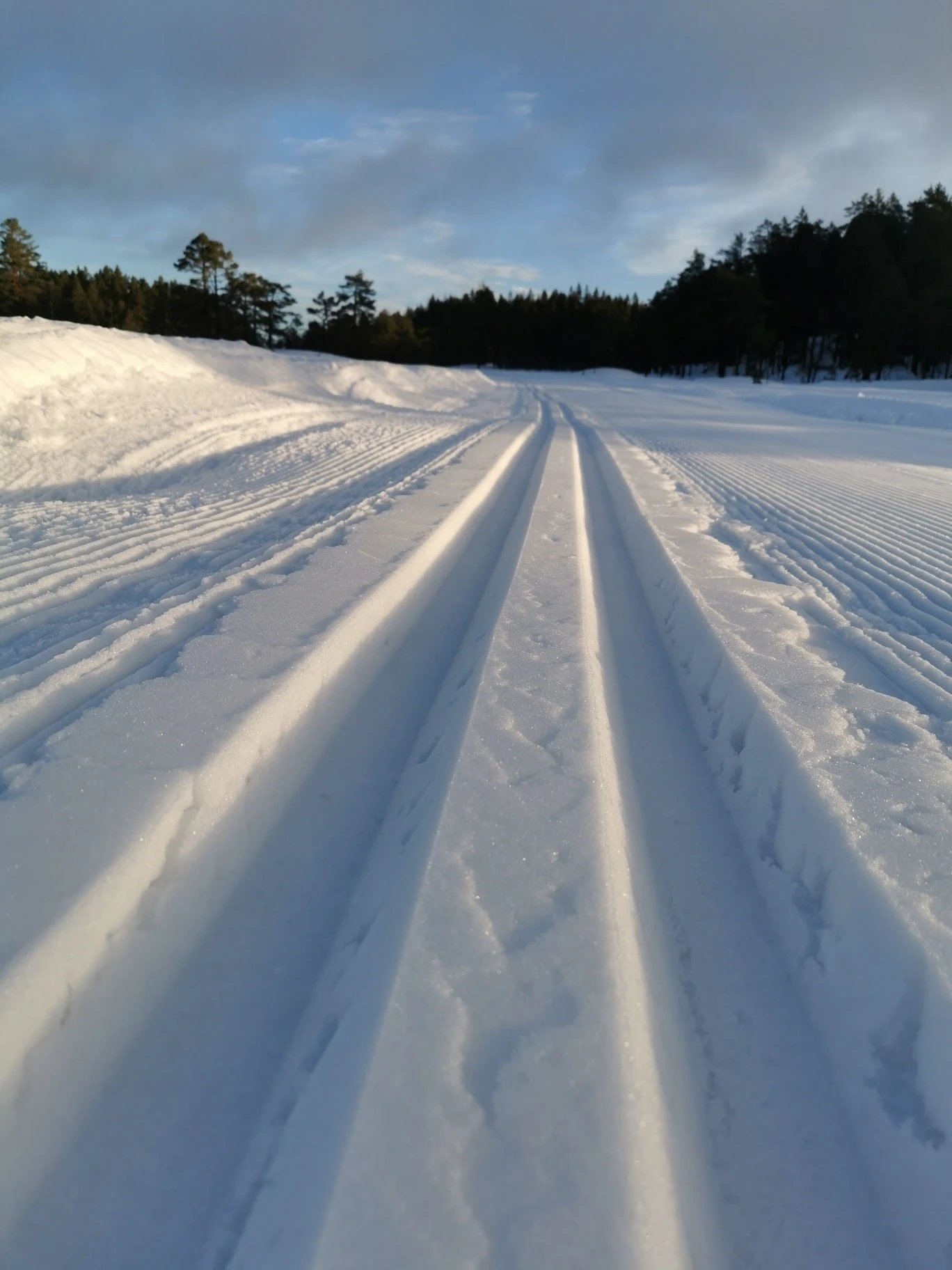 Stort skiløypenett med lysløype Galleribilde