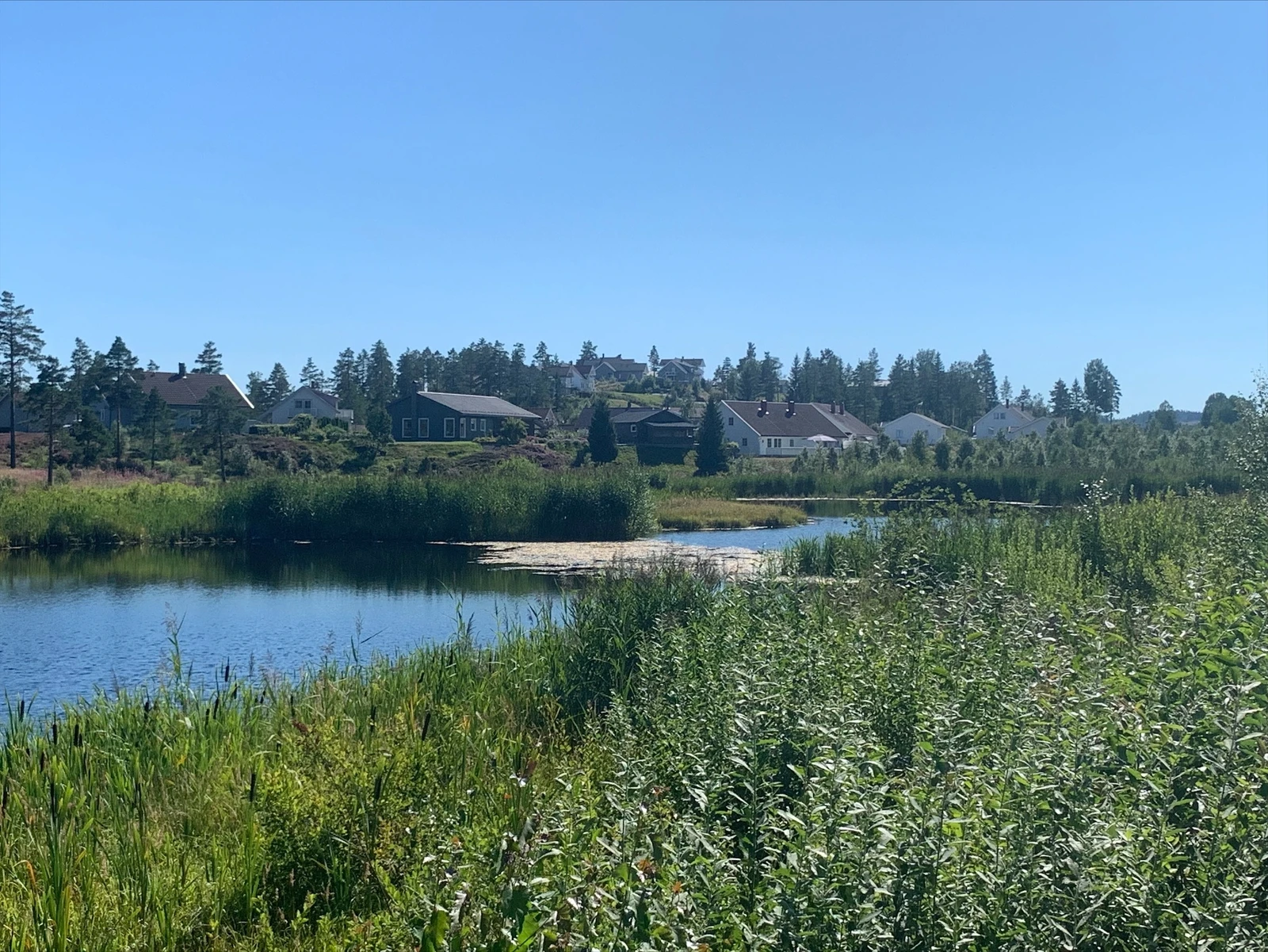 Mauråsen boligfelt: tjenna Galleribilde