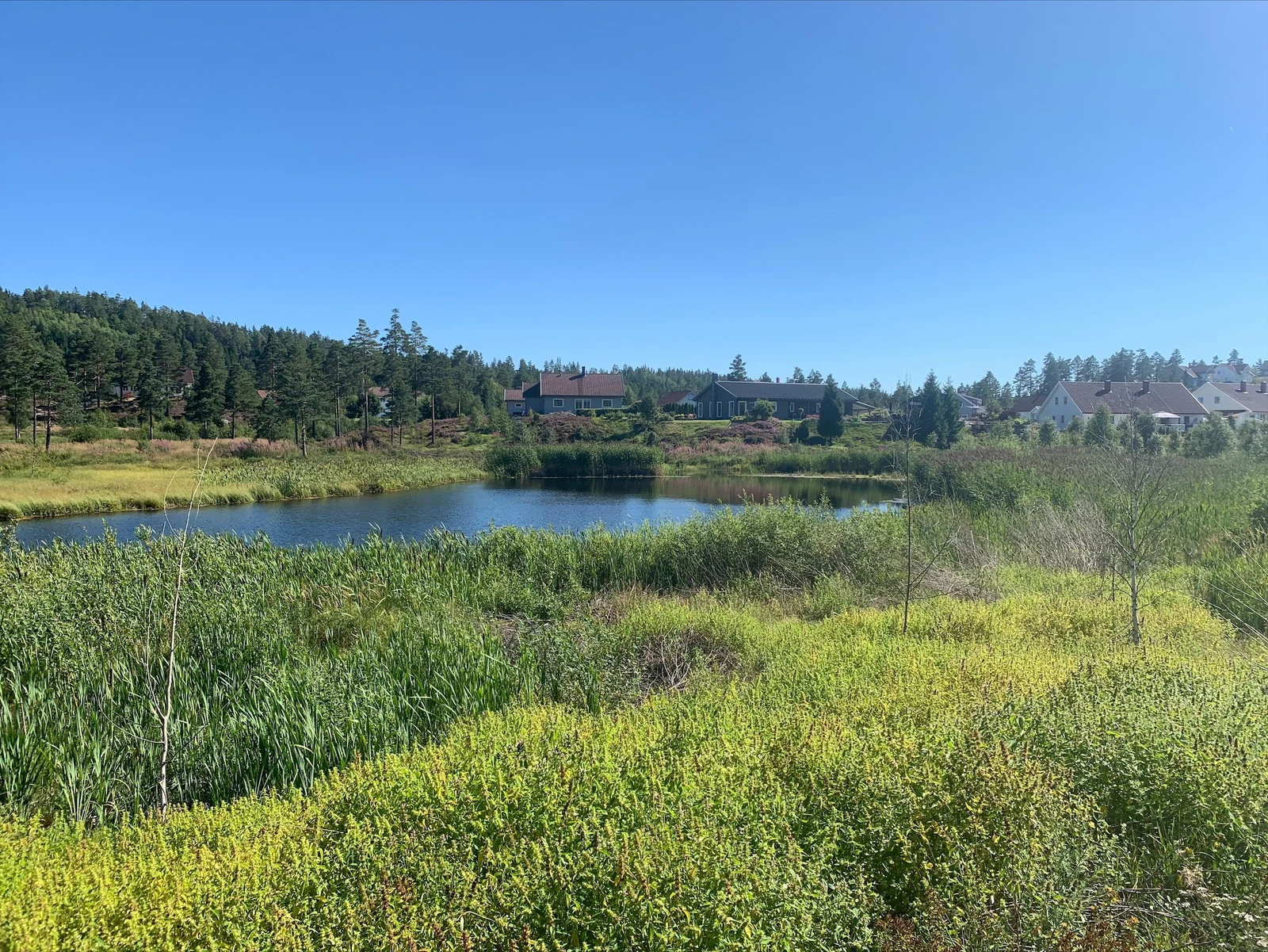 Mauråsen boligfelt: tjenna Galleribilde