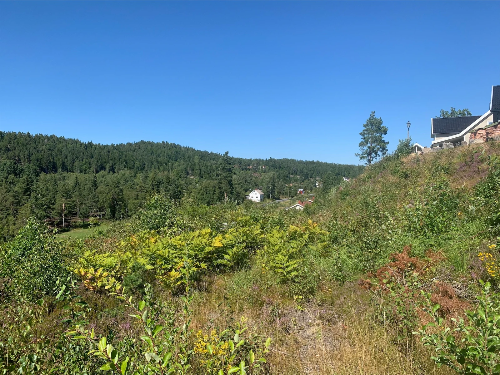 Mauråsen boligfelt: fra Øvre Mauråsen mot tomt 32 og 42 og mot Nedre Mauråsen / fylkesvei Galleribilde