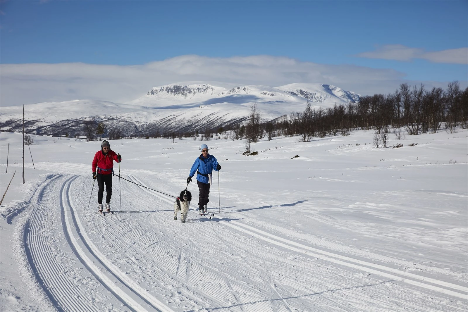 Foto Morten Knudsen, Foto MK AS Galleribilde