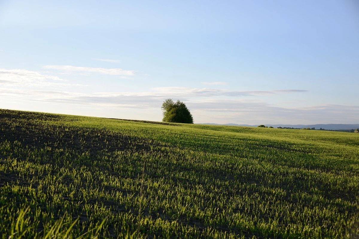Før bodde vi på Bislett og jeg bruke 55 min til jobben nord i Oslo. I dag bruker jeg 45 min til den samme jobben. Galleribilde