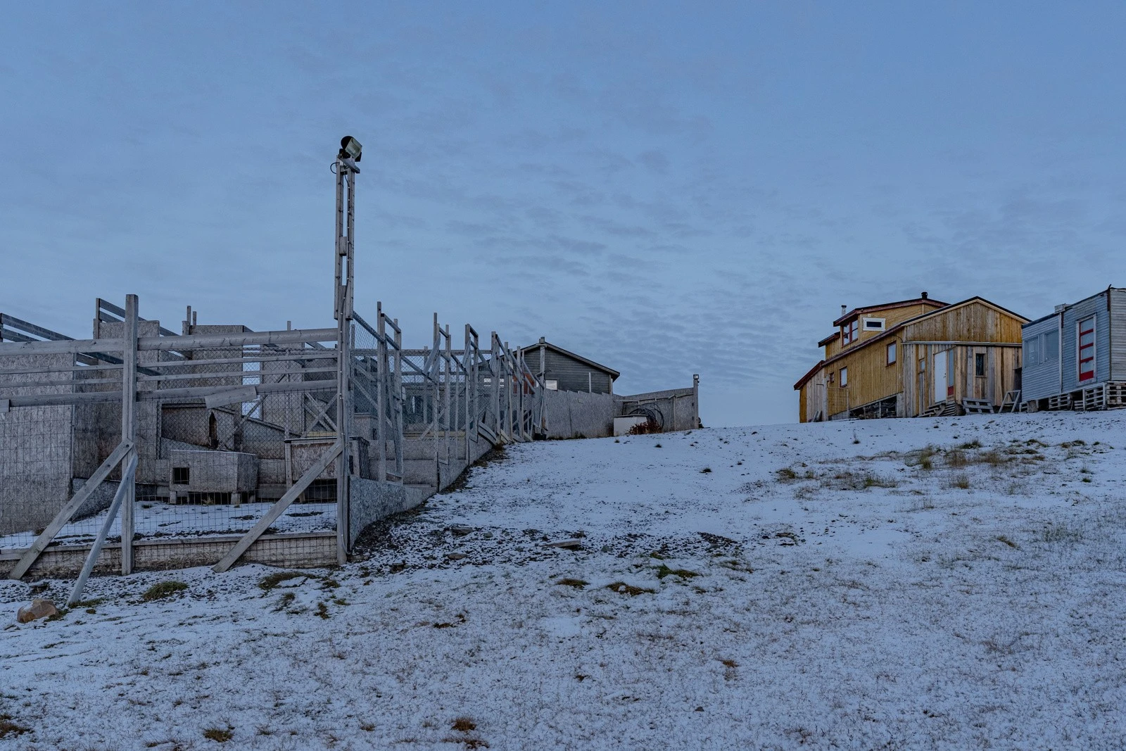 Stor hundegård medfølger i handelen Galleribilde