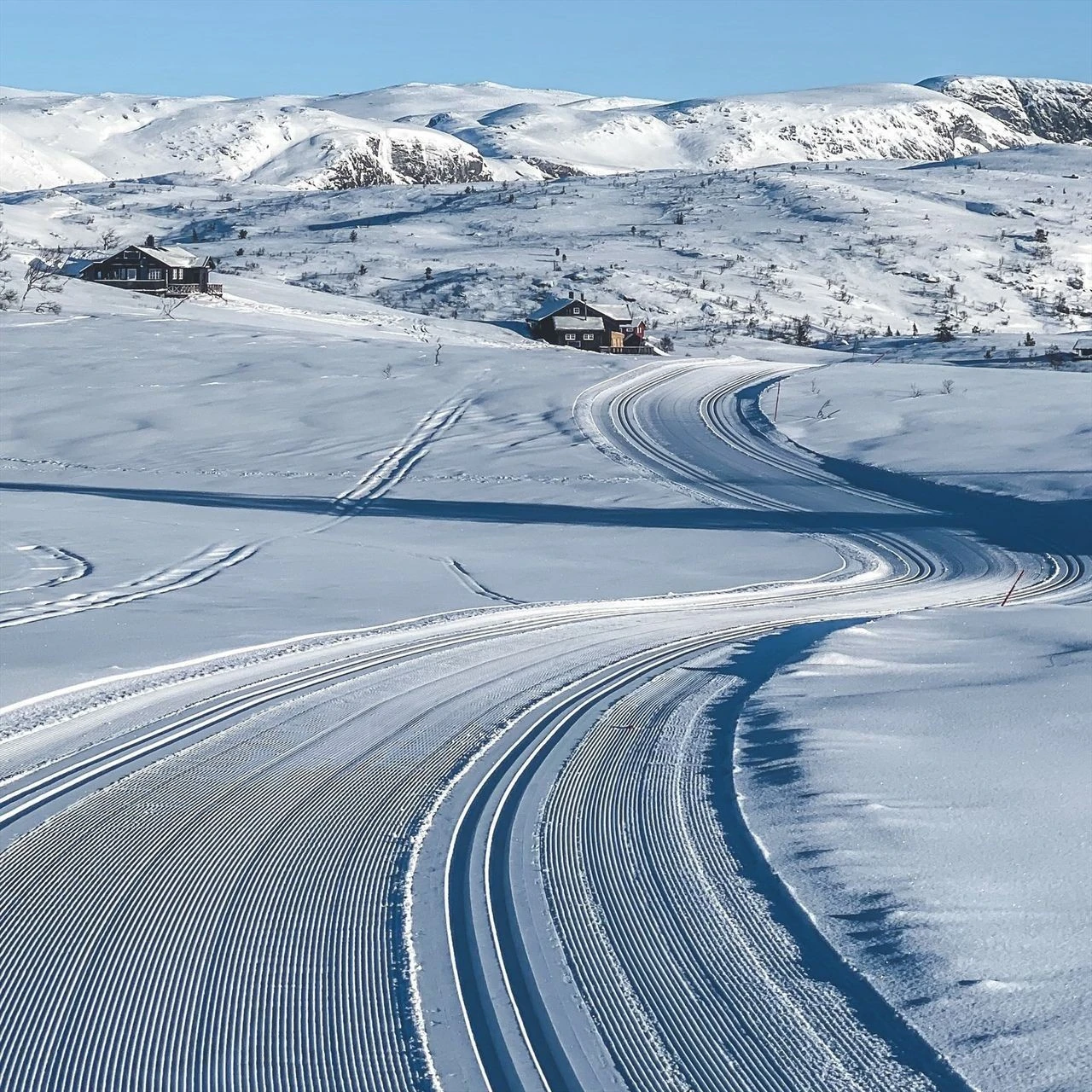 Nydelige skiløyper kort vei fra hytteveggen Galleribilde