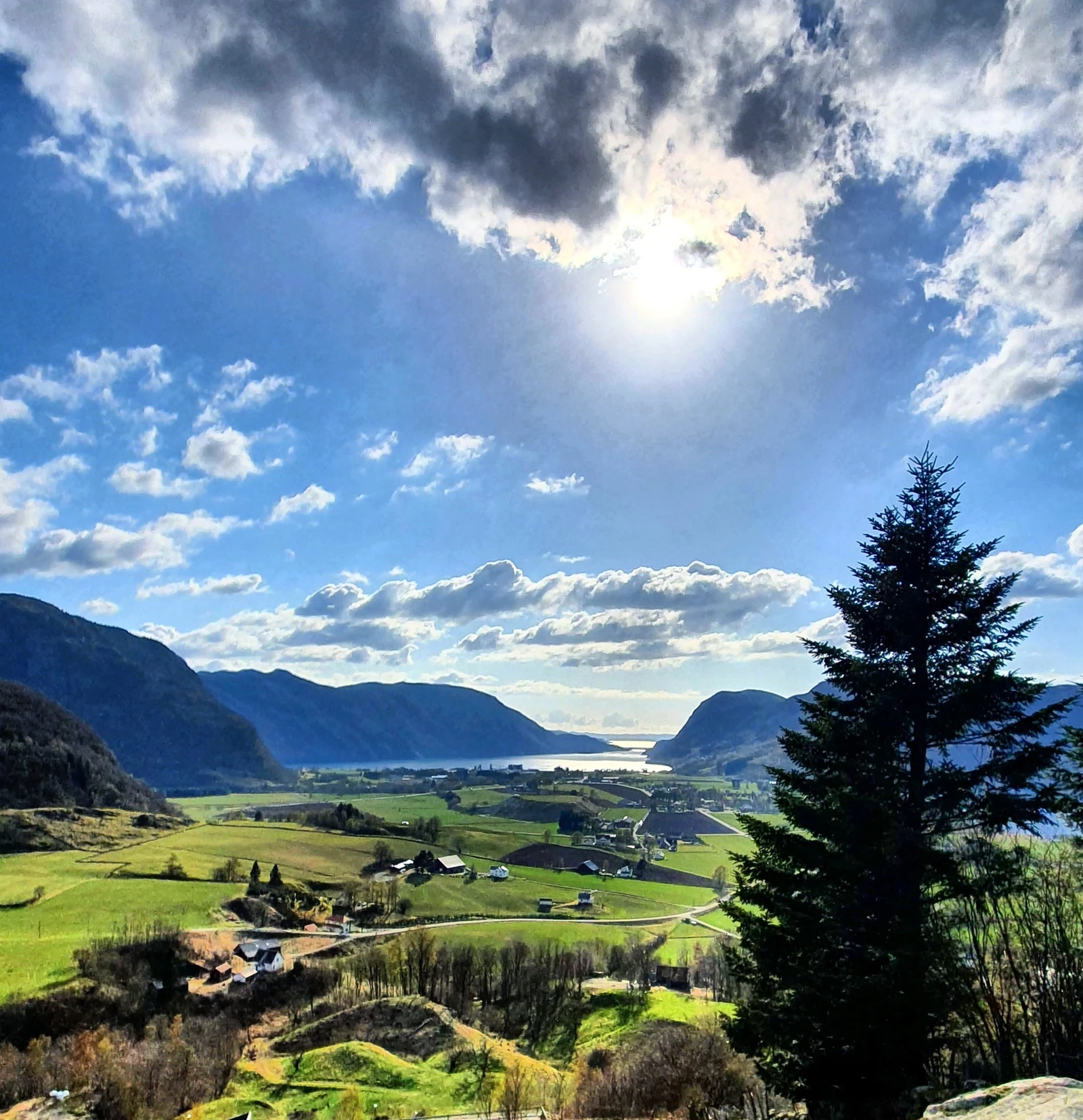 Årdal i Ryfylke Galleribilde