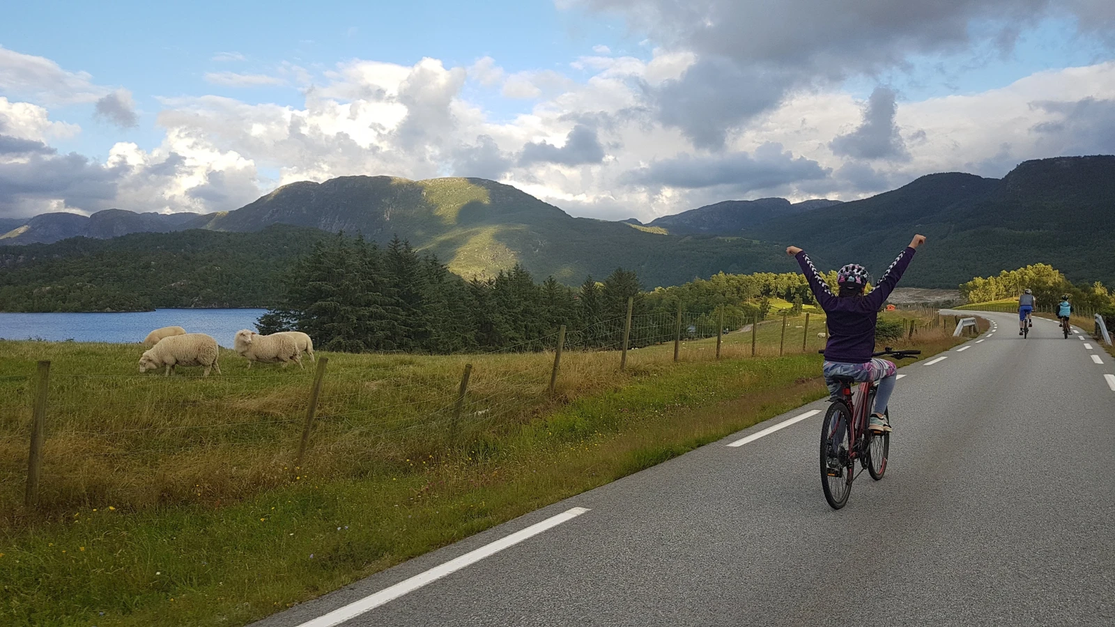 Lite trafikk og gode sykkelmuligheter. Galleribilde