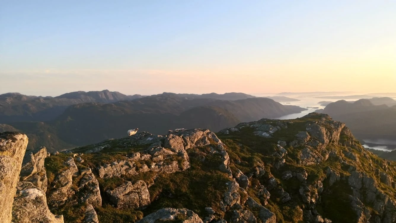 Tofjellet- like bak tomta Galleribilde