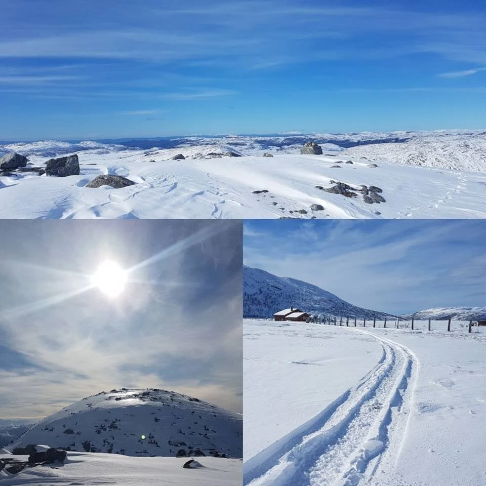 Topptur eller flate vidder i Lyngsheia. 10-15 min. med bil. Galleribilde