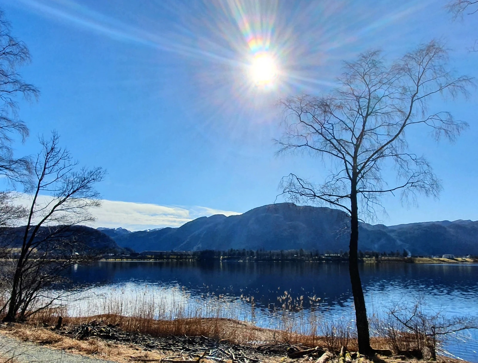 Prestaveien- turvei langs Riskedalsvatnet Galleribilde