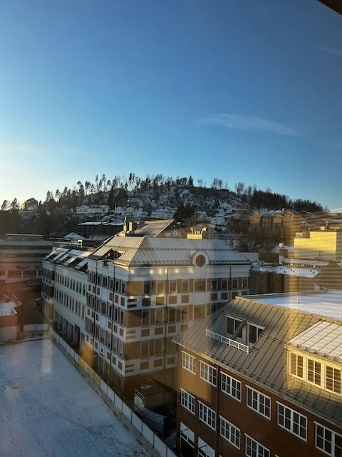 Utsikt fra toppetasjen Galleribilde