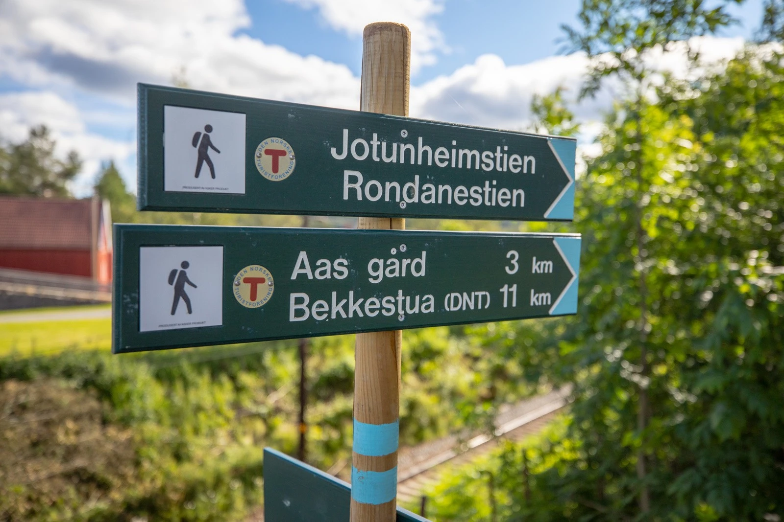 Kort vei til marka. Galleribilde