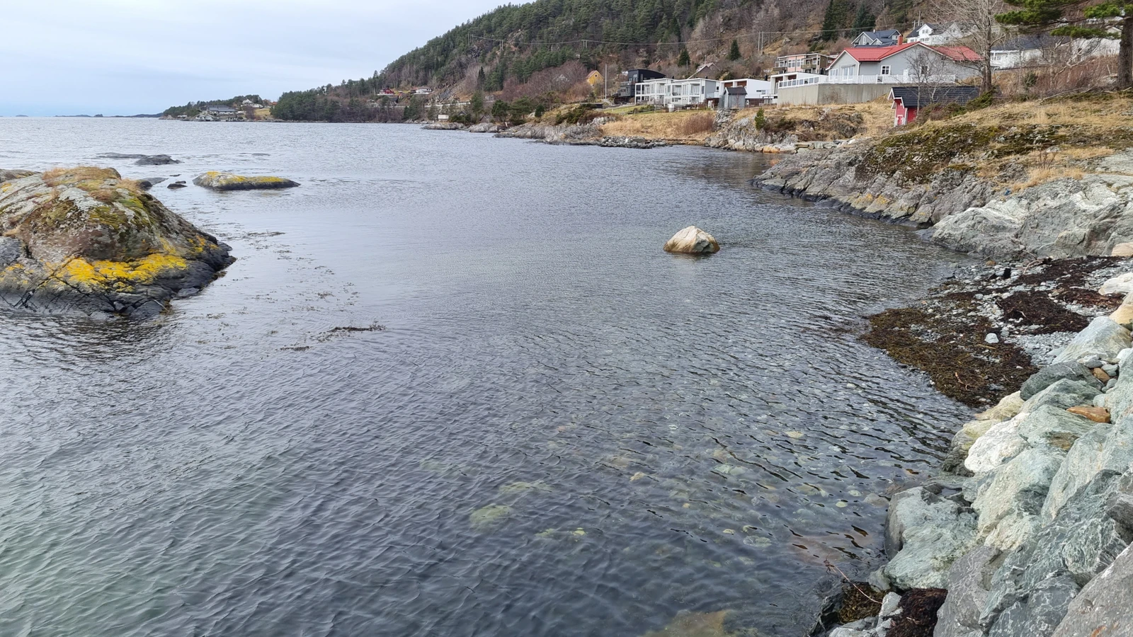 Badefjære rett ved småbåthamna. Galleribilde