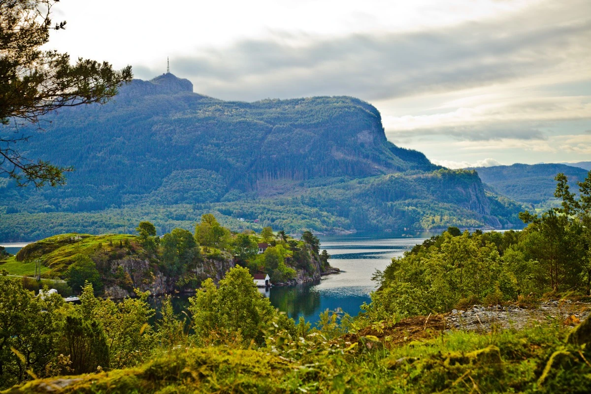 God utsikt fra tomtene Galleribilde