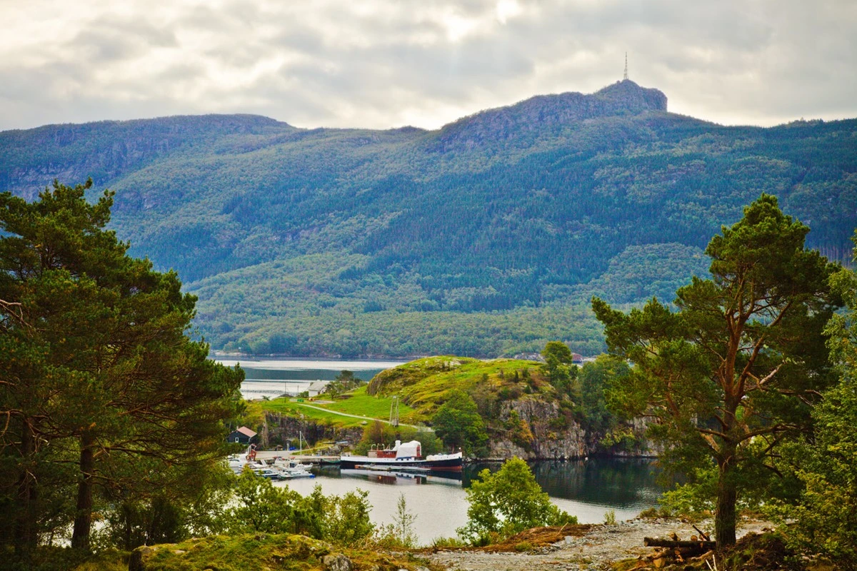 God utsikt fra tomtene Galleribilde