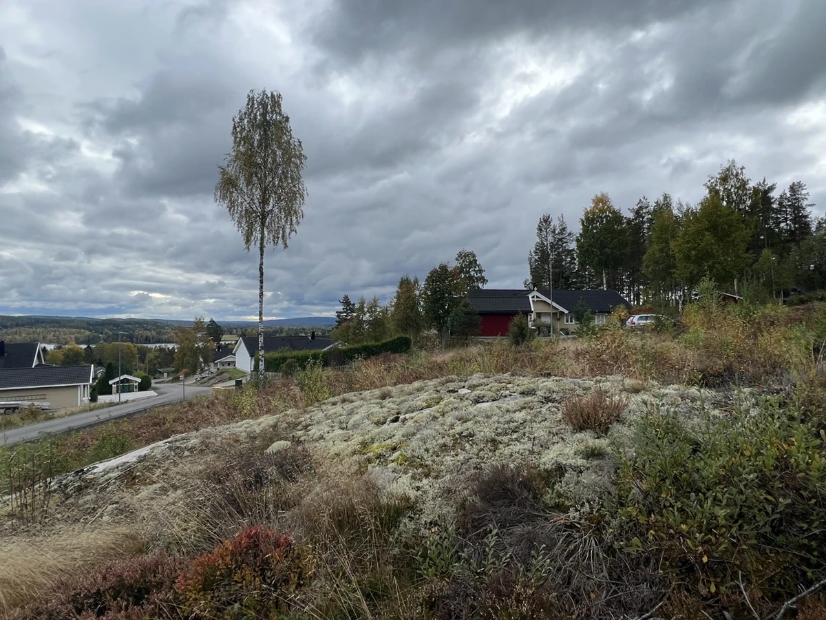 Steinbyveien 49 og 51 Galleribilde