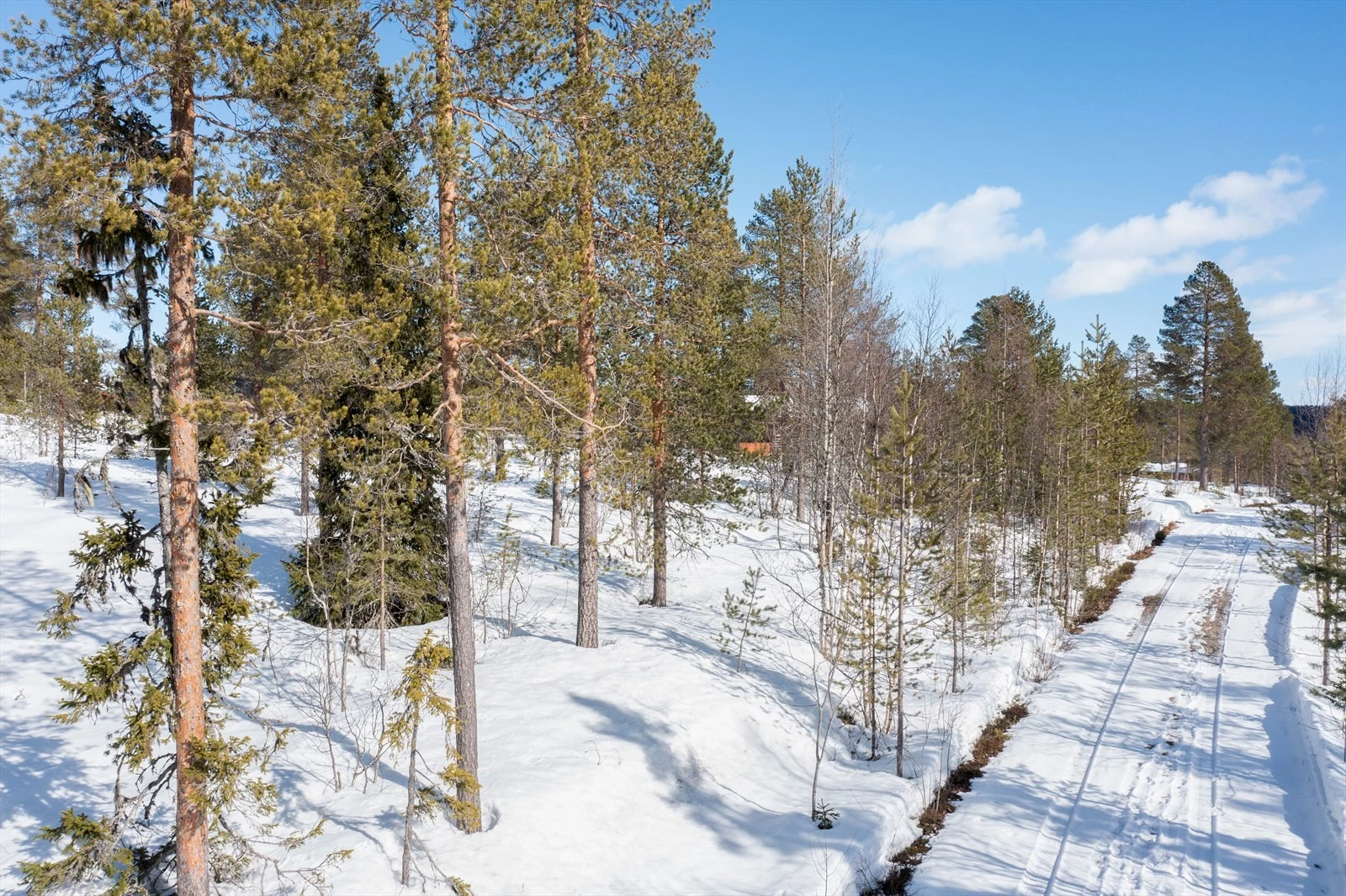 Nærbilder fra tomtene. Galleribilde