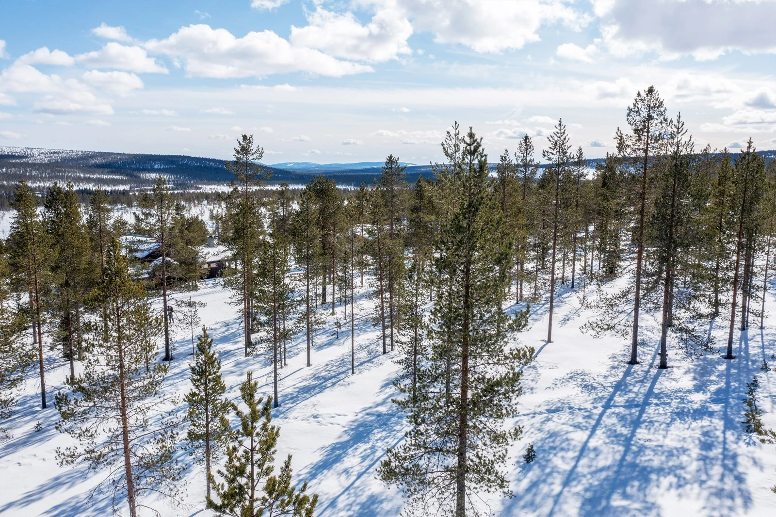 Nærbilder fra tomtene. Galleribilde
