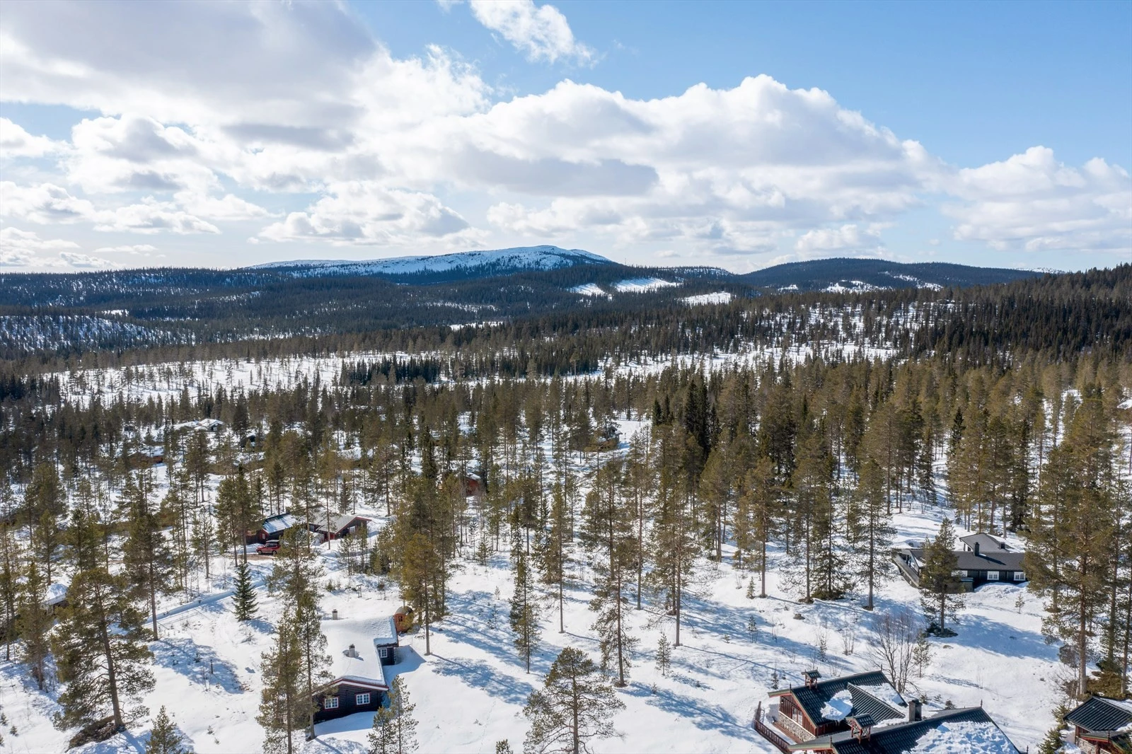 Nærbilder fra tomtene. Galleribilde