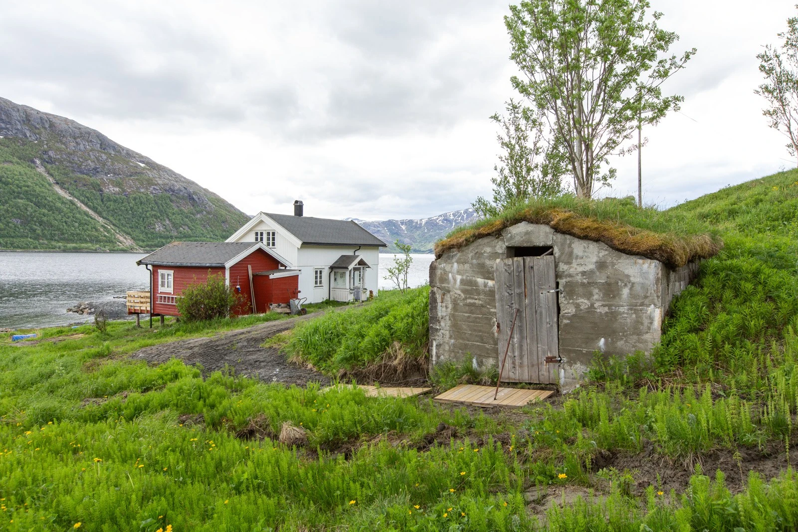 Jordkjeller et par meter nord for hytta Galleribilde