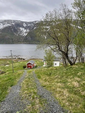 IMG_3880.jpg Galleribilde