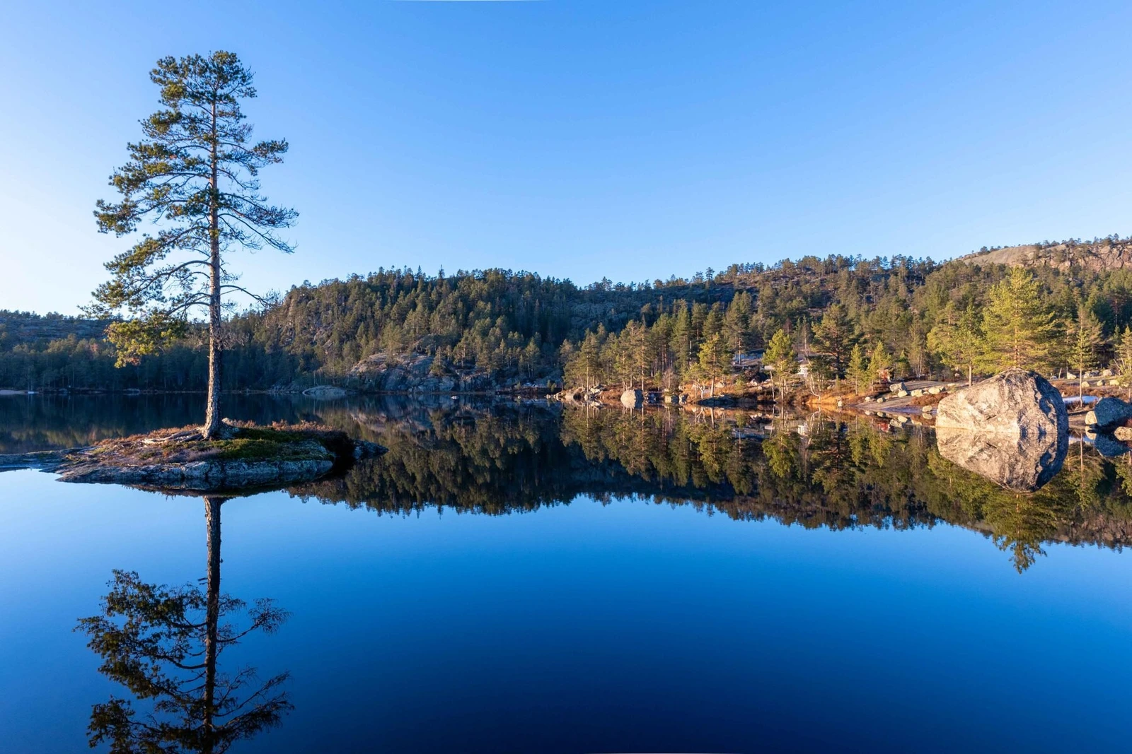 Nydelig ved Rosstjønn Galleribilde