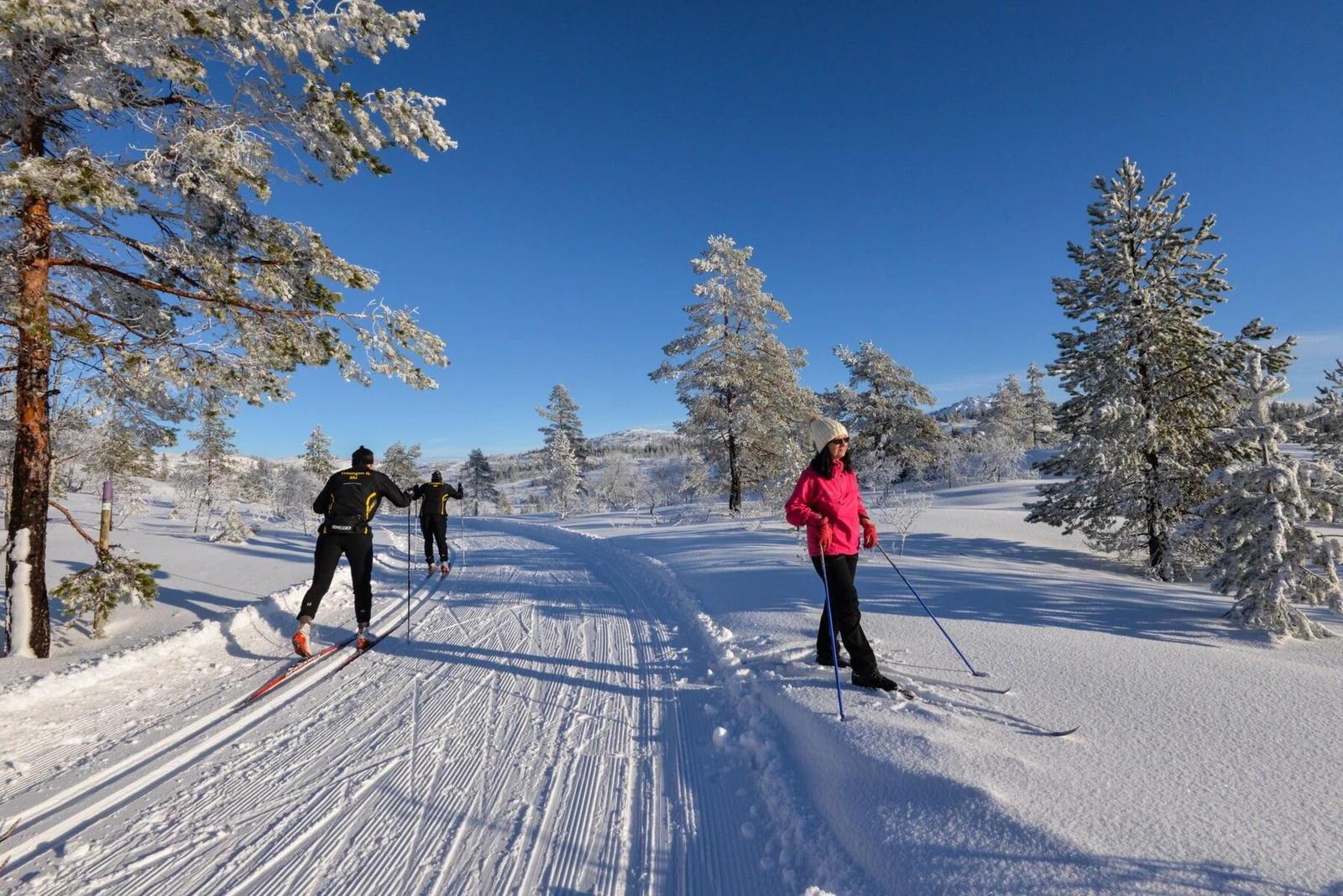 Gautefallheia har et flott skiløypenett Galleribilde