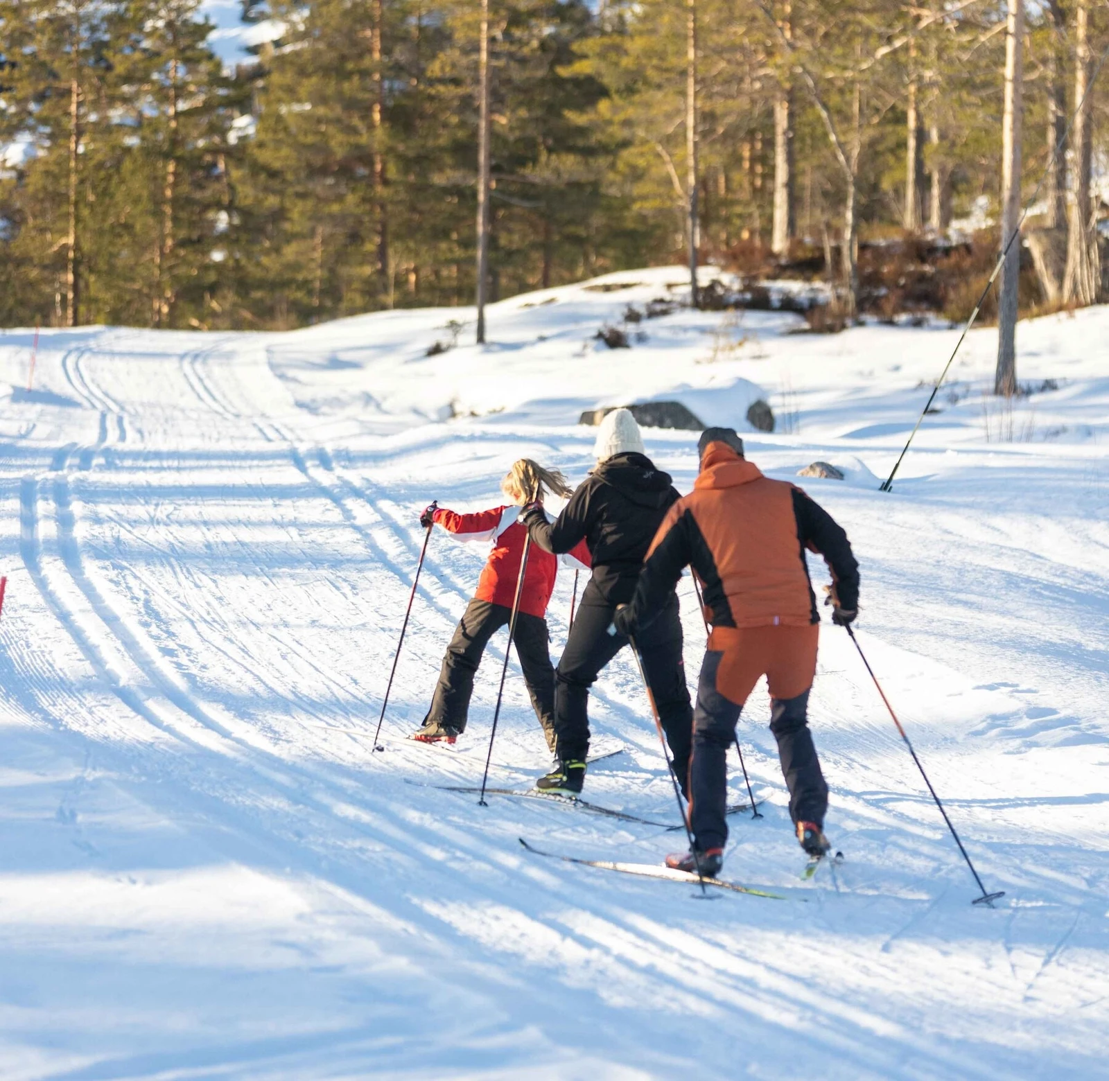 Det går skiløyper gjennom tomtefeltet Galleribilde