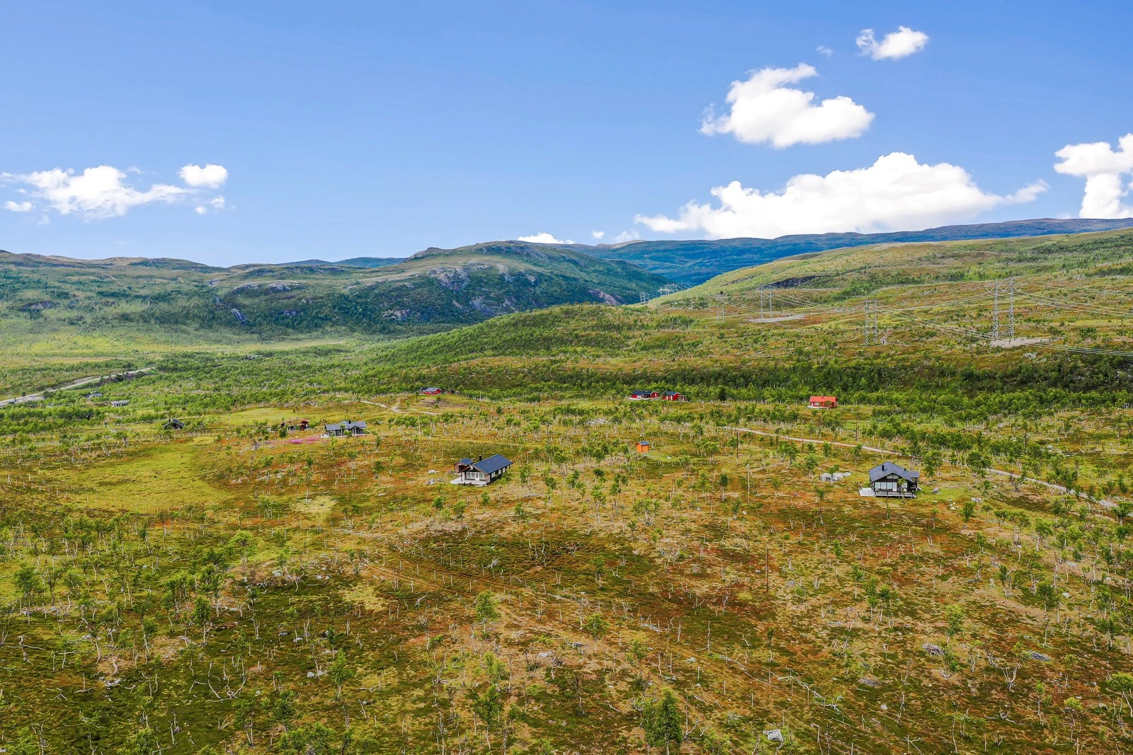 Velkommen på visning! Galleribilde