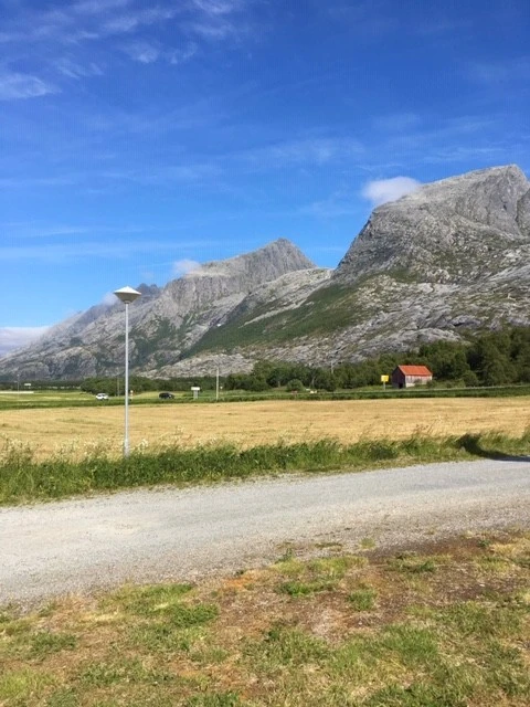 Områdebilde Galleribilde