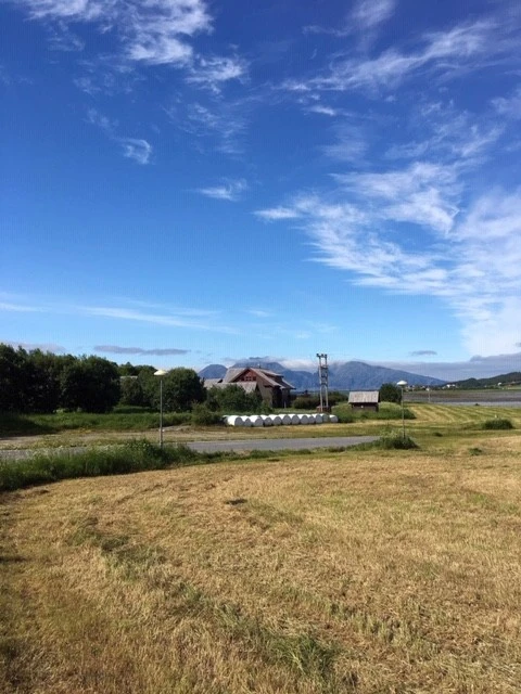 Områdebilde Galleribilde