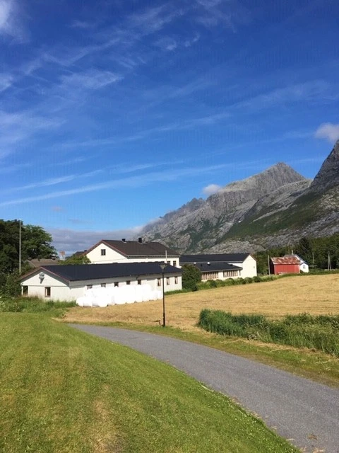 Husmorskolen med en av fjelltoppene i De Syv Søstre Galleribilde