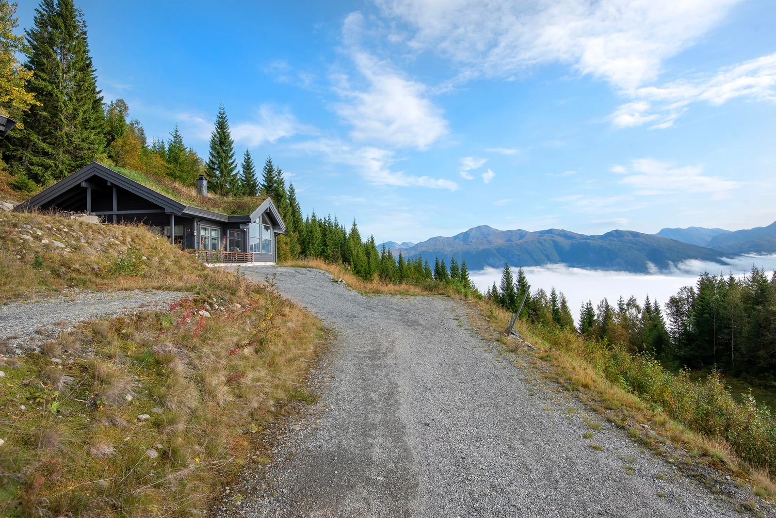 Adkomst Galleribilde