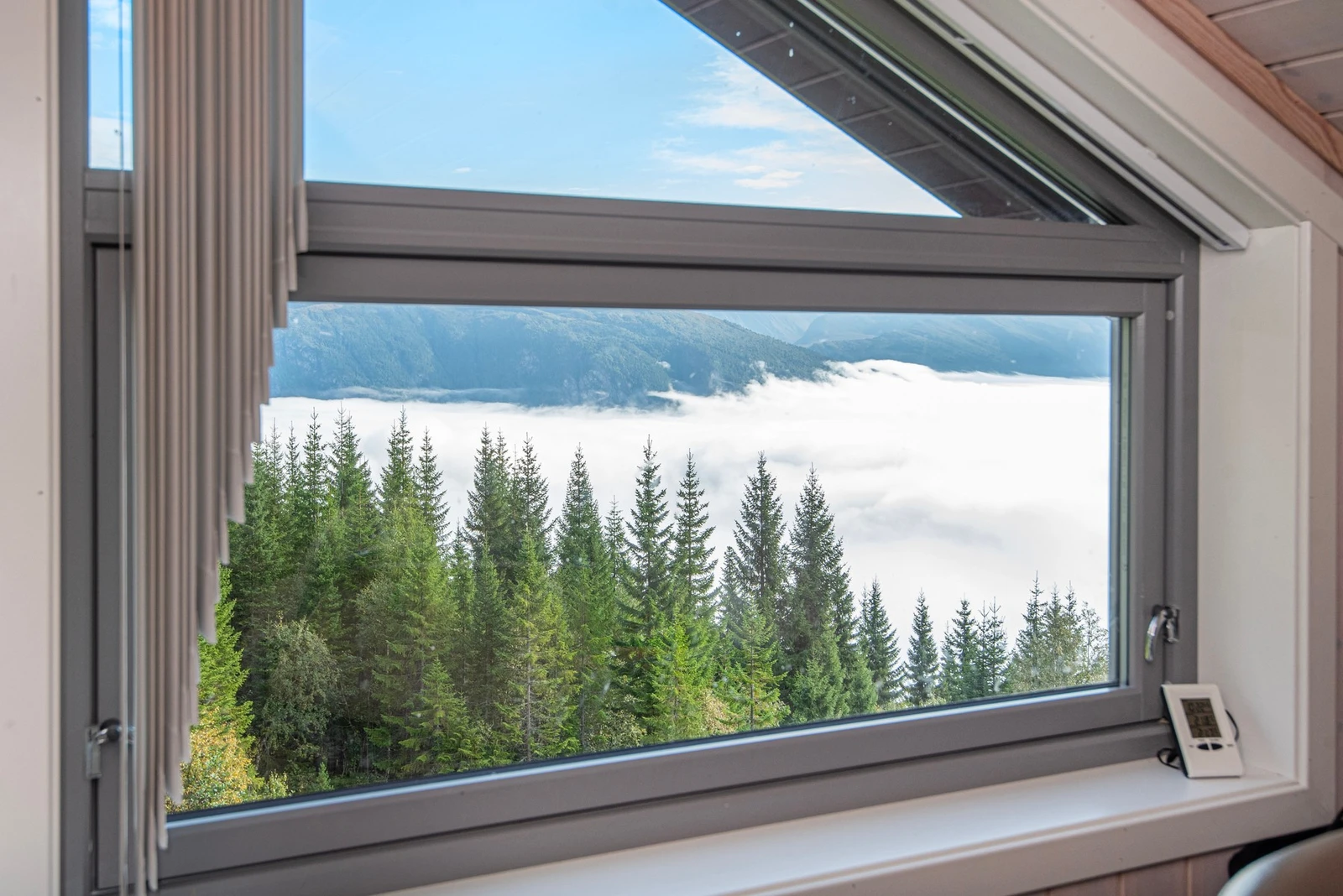 Utsikt fra hems Galleribilde