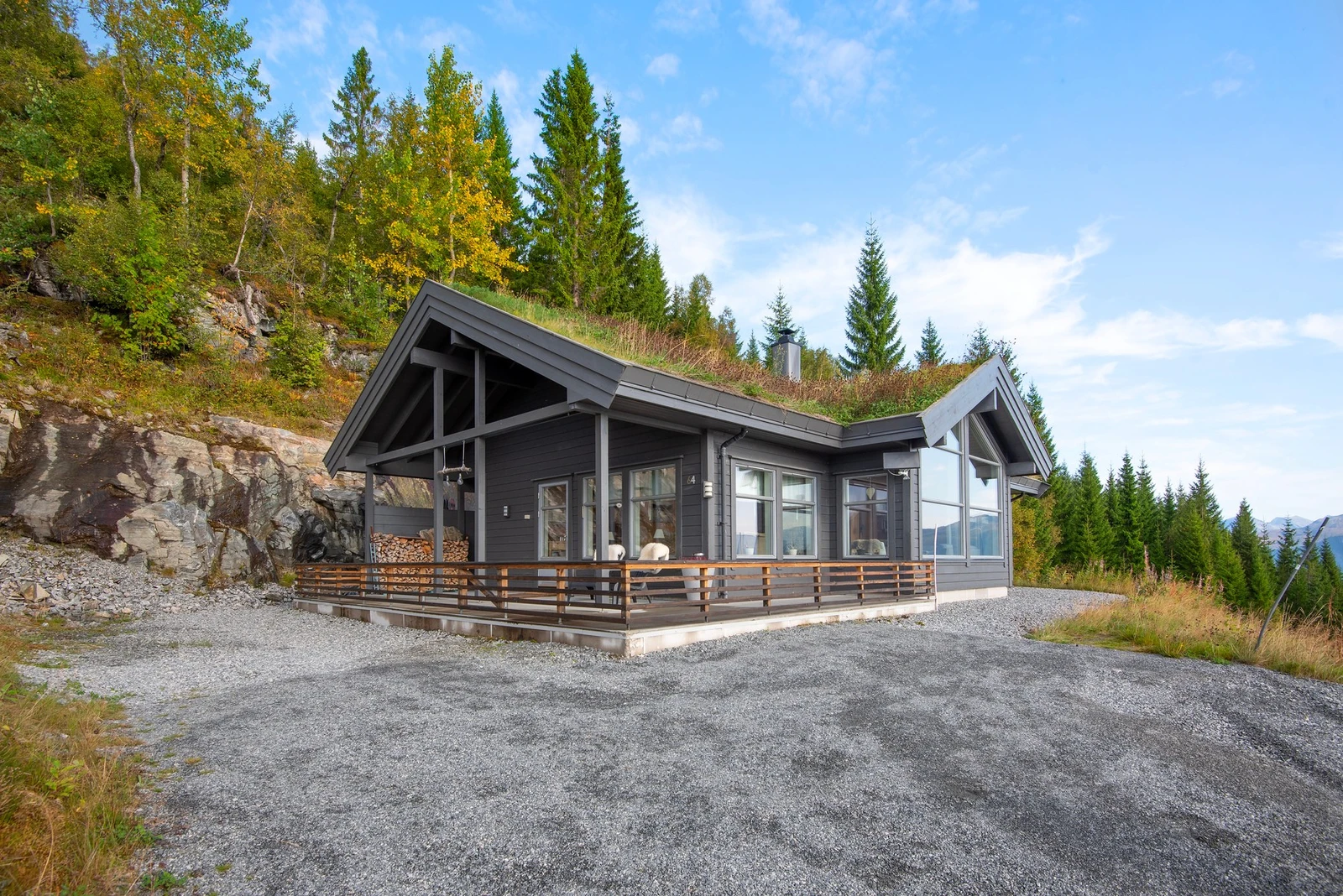 Gruslagt adkomst med godt med biloppstillingsplasser. Galleribilde