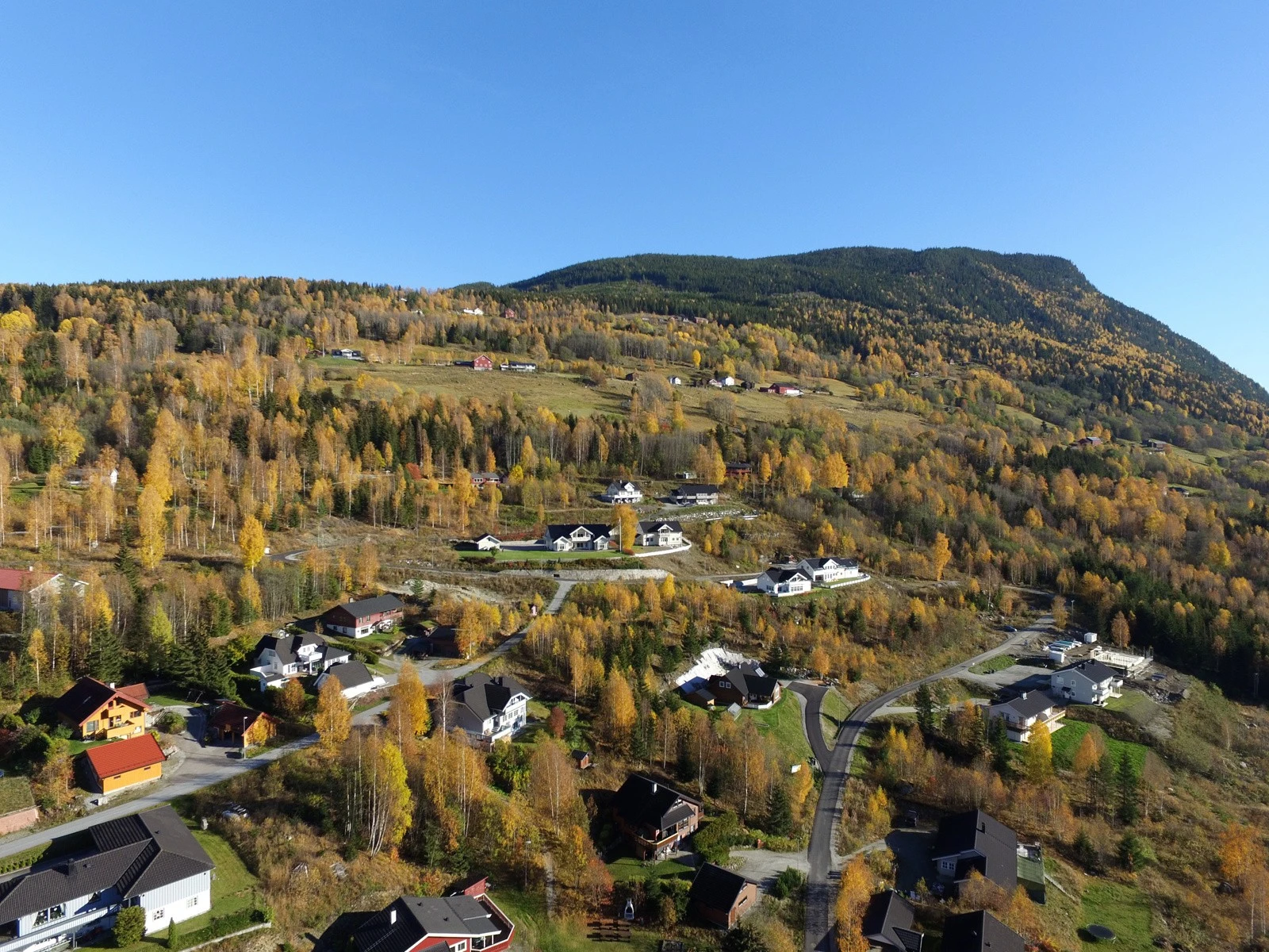 Naturen rett utenfor Galleribilde