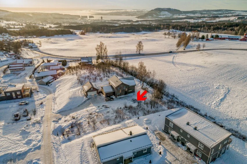 Vinterbilde fra tomten Galleribilde