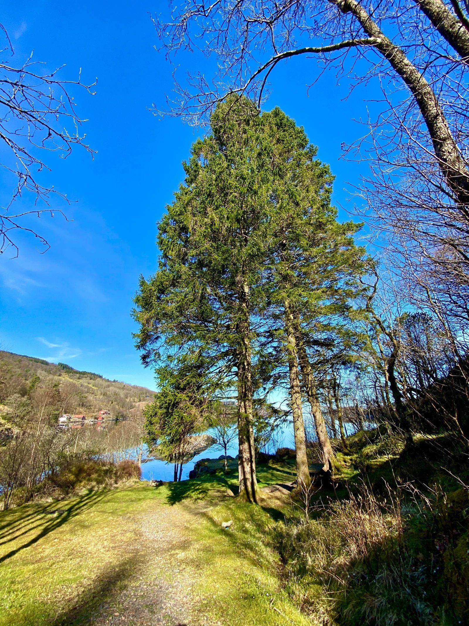 Fisketangen friluftsområde ligger kun en kort spaser tur fra boligfeltet. Galleribilde