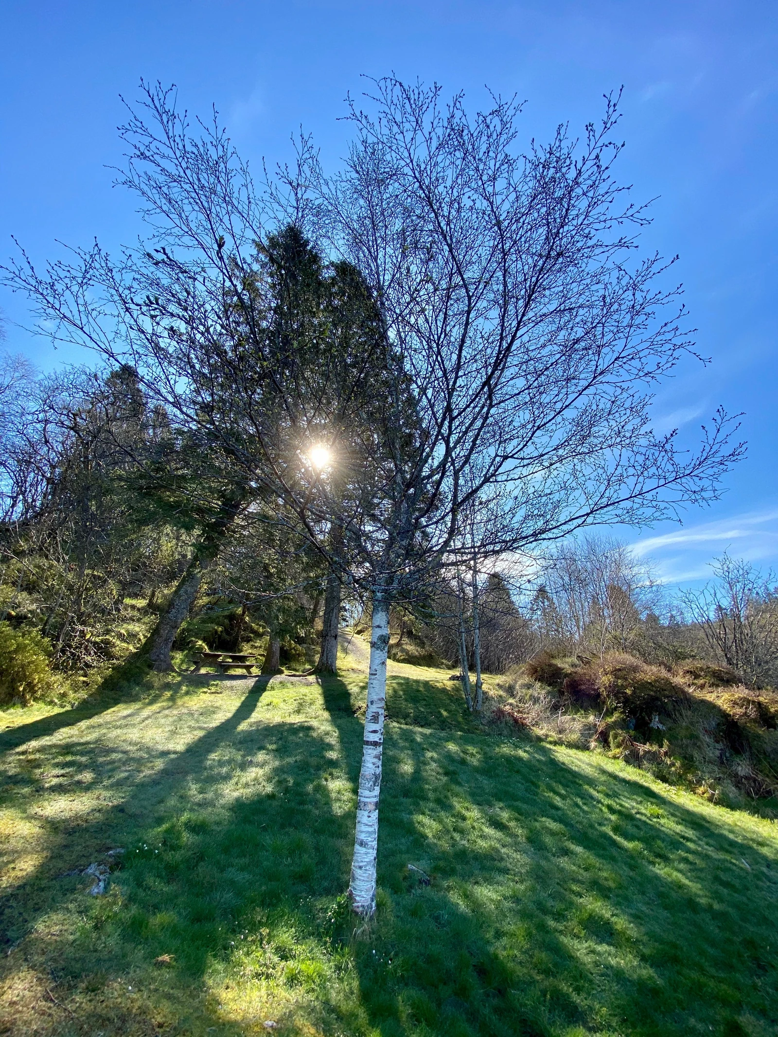 Solglimt på Fisketangen Galleribilde
