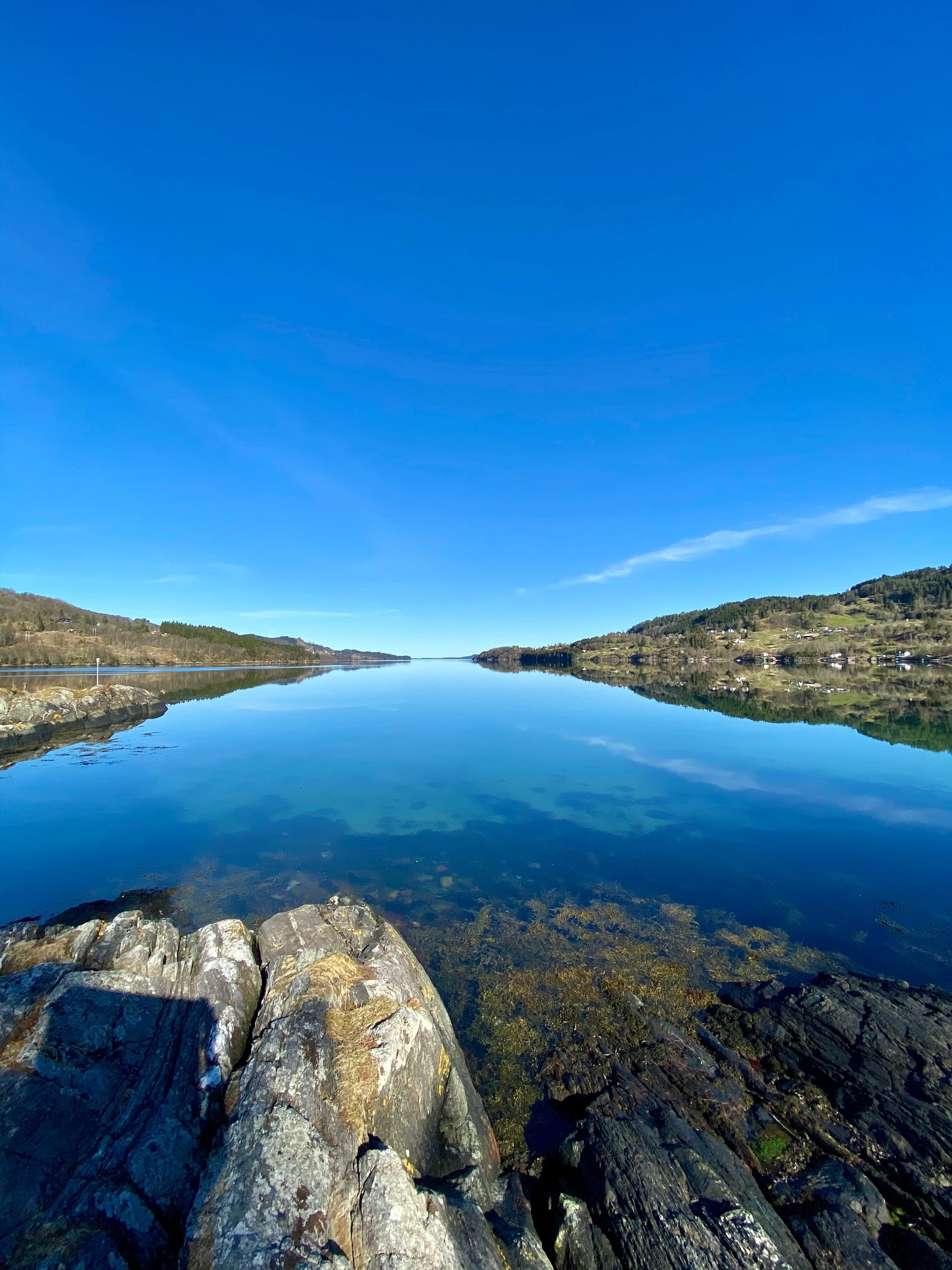 Nydelig på Fisketangen Galleribilde