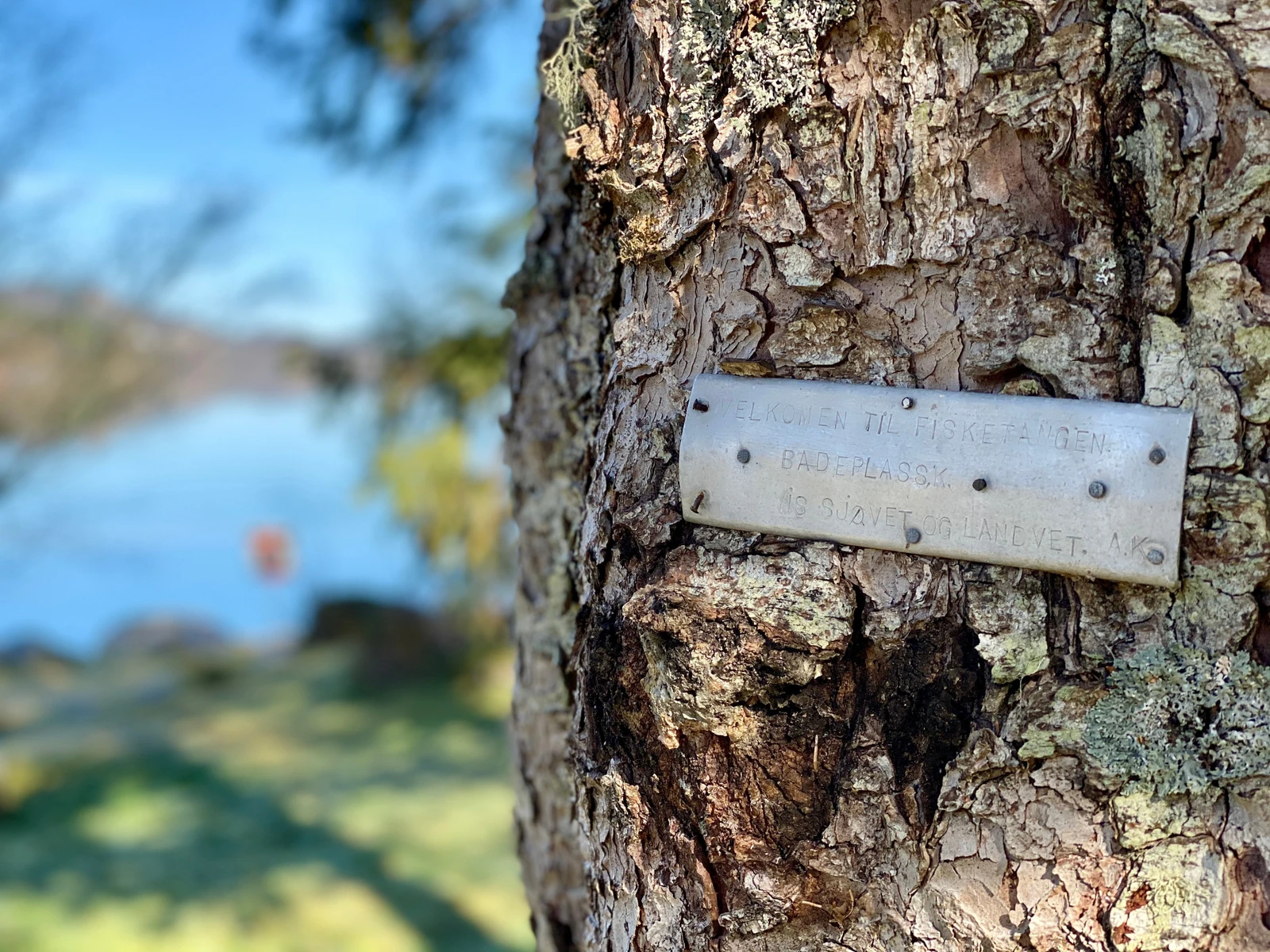 Flott område som er godt ivaretatt. Galleribilde