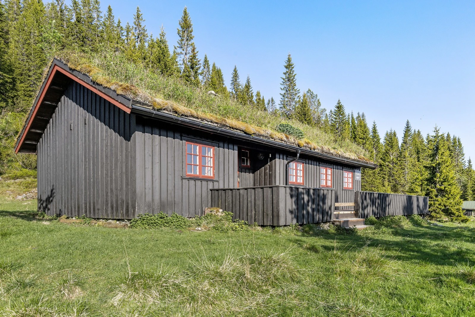 Flott utsikt og ingen gjenboere. Galleribilde