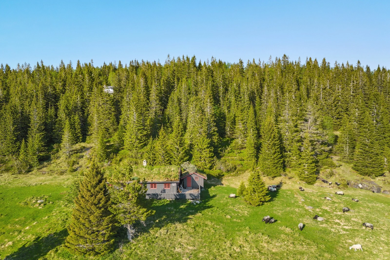 Sol fra tidlig morgen til sent på kveld. Galleribilde